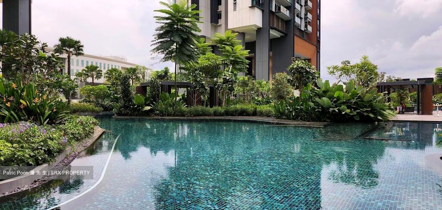 Normanton Park (D5), Apartment #517504371